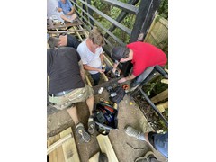 IMG_9486